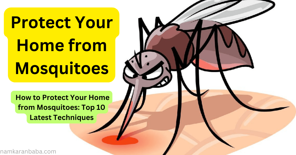  How to Protect Your Home from Mosquitoes: Top 10 Latest Techniques